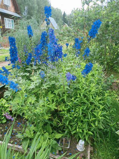 Дом 30 м² на участке 6 сот.