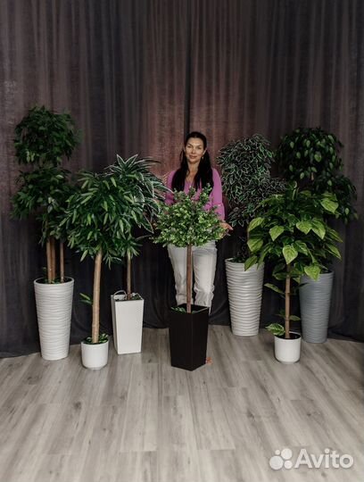 Искусственные деревья/искусственные цветы/растения