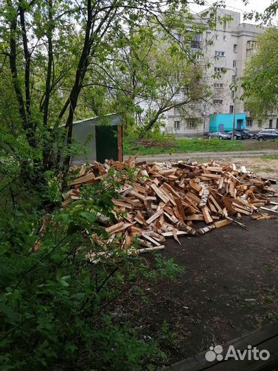 Зола берёзовая