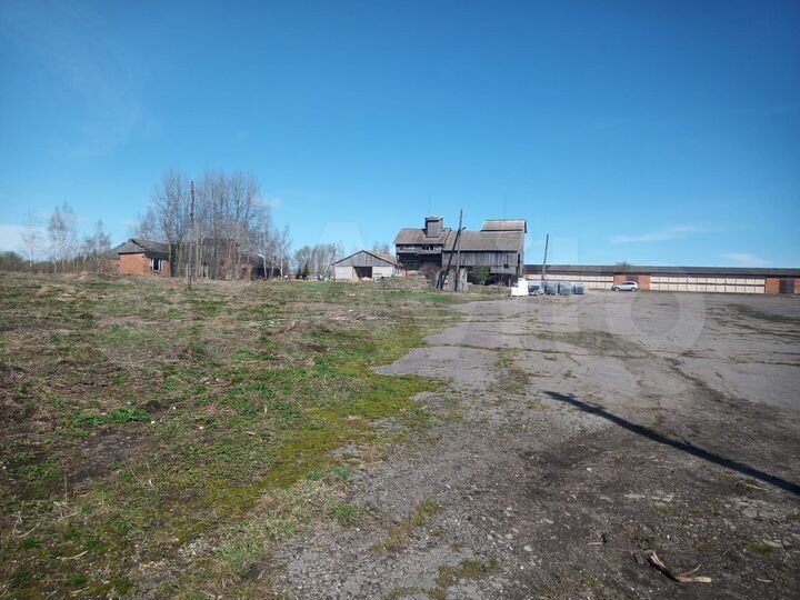 Участок 320 га (СНТ, ДНП)