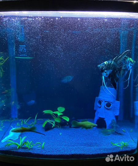 Аквариум jebo 30л