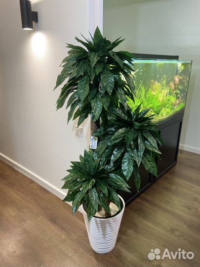 Озеленение помещений от 50 м2 / офисы / кафе