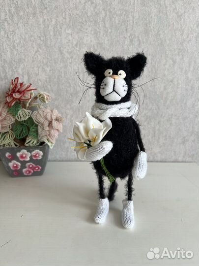 Кот