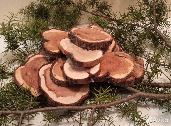 Спилы можжевельника (набор для творчества)