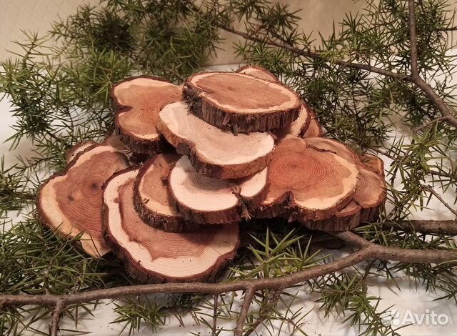 Спилы можжевельника (набор для творчества)