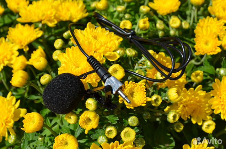 Микрофон петличка