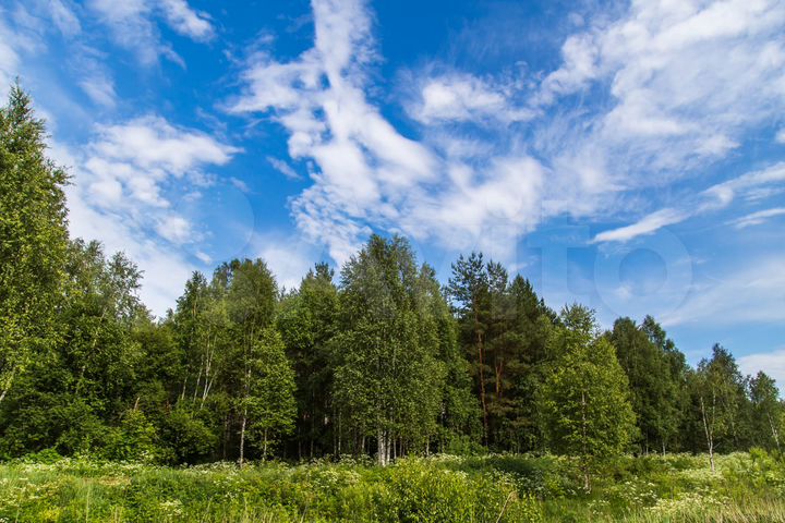 Участок 1,6 га (ИЖС)