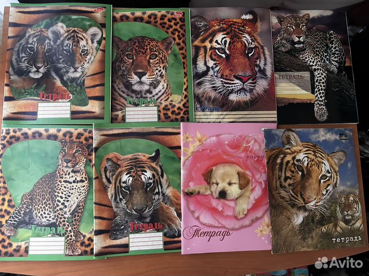 Тетради 48 листов