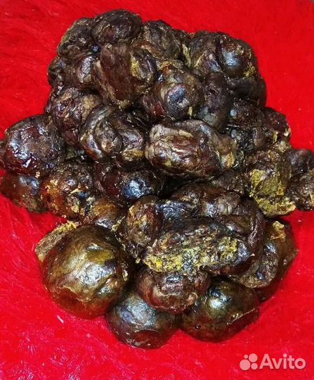 Прополис пчелиный