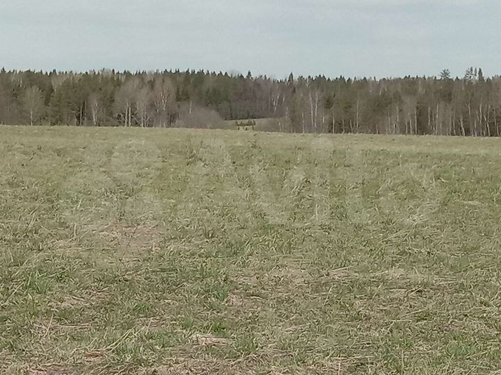 Участок 12 сот. (ИЖС)