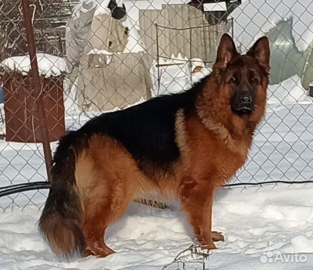 Вязка