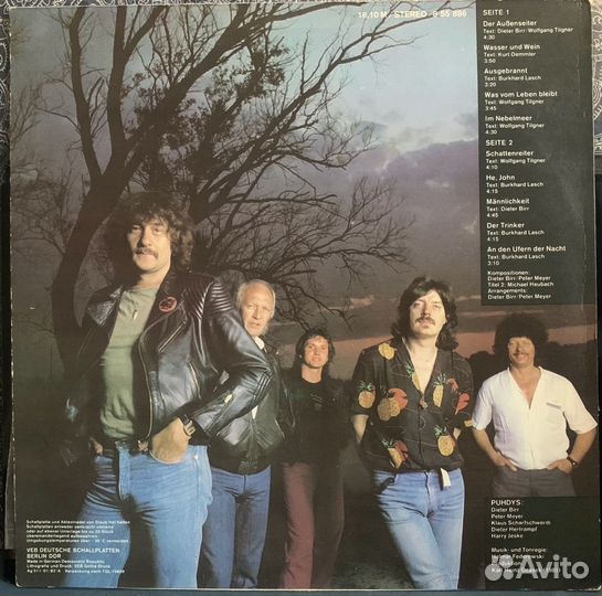 Виниловая пластинка Puhdys - Puhdys 10: Schattenre