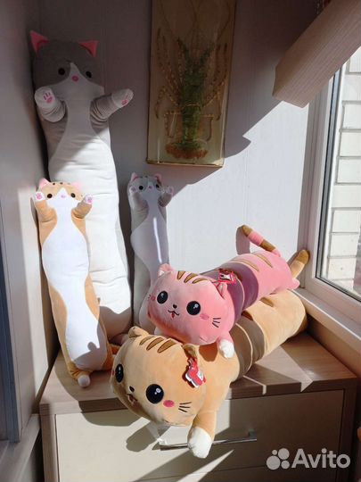 Коты батоны много разные