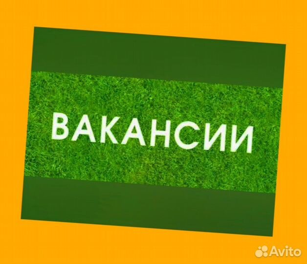 Грузчик Вахта Жилье+Еда Еженедельные выплаты