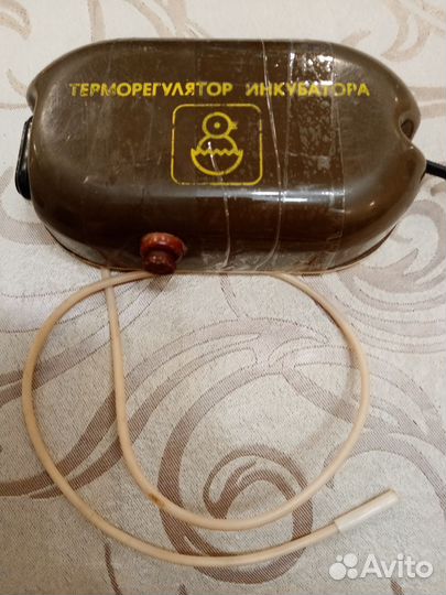 Инкубатор для яиц