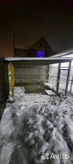 Вольер для собак