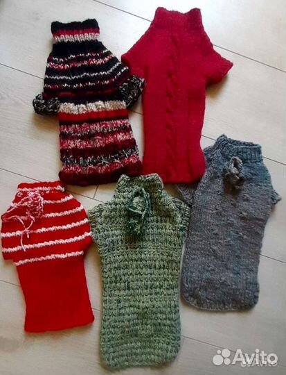 Одежда для собак, кошек