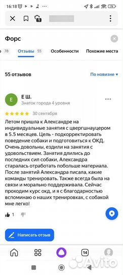 Дрессировка передержка инструктор кинолог собака