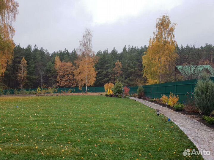 Рулонный газон