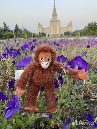 Орангутанчик Ара.Оригинальные игрушки.Икеа