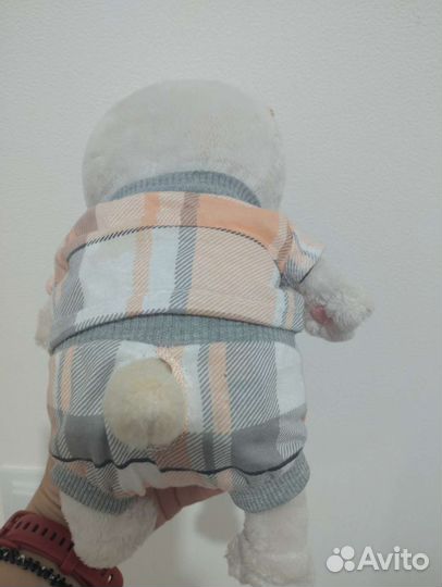 Костюм для лили