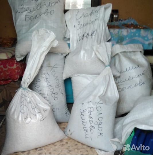 Семена Арбуза и Дыни