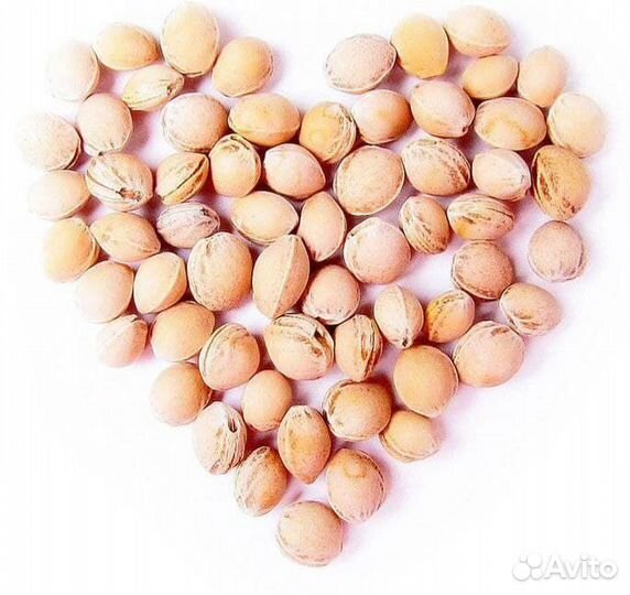 Развивающая игрушка «Доктор Мякиш-Енот»