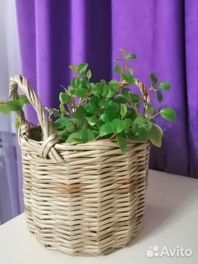 Корзина плетеная из бумажной лозы