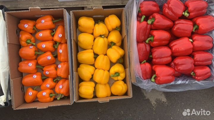 Овощи и фрукты оптом доставка