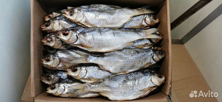 Вобла весенняя доставлю сегодня