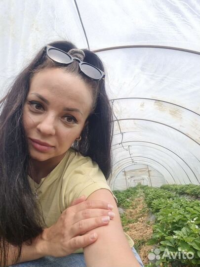 Саженцы клубники