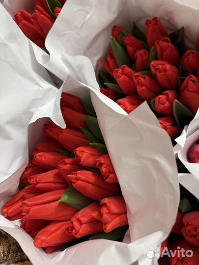Тюльпаны к 8 марта розница