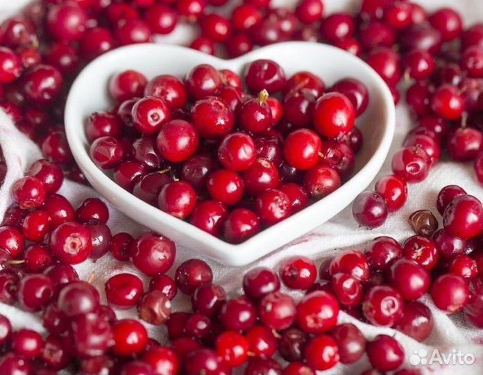 Брусника свежемороженая (урожай 2023 года)