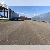 Выравнивание земельного участка, Лесной Городок