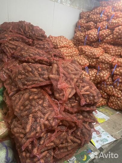 Картофель, лук, морковка, капуста,Свекла