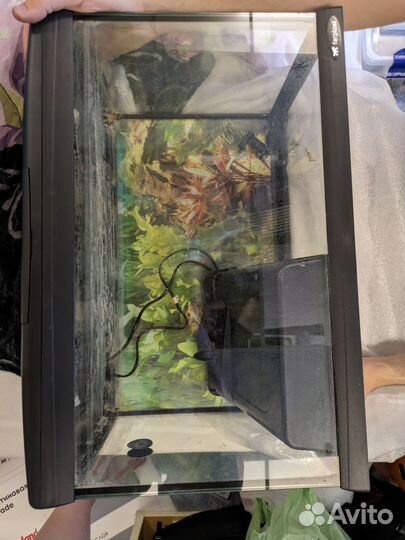 Аквариум Ferplast Cayman 50 Professional (40 л)