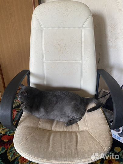 Компьютерное кресло