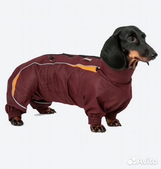 Комбинезон для собак Barsu