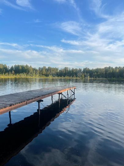 Участок 21 сот. (СНТ, ДНП)