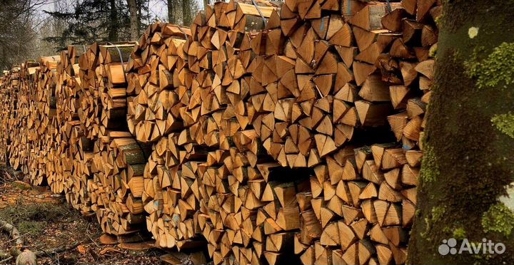 Дрова оптом