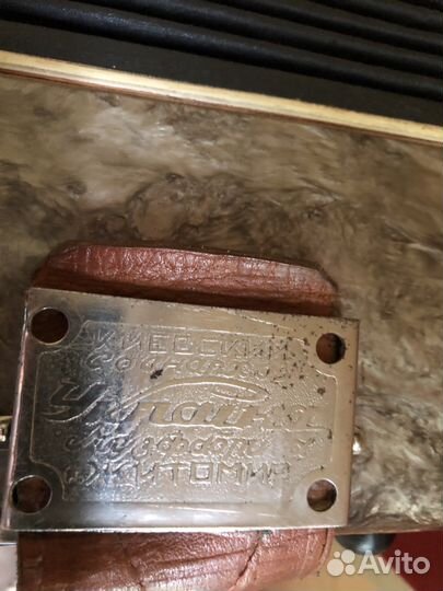 Баян Украина