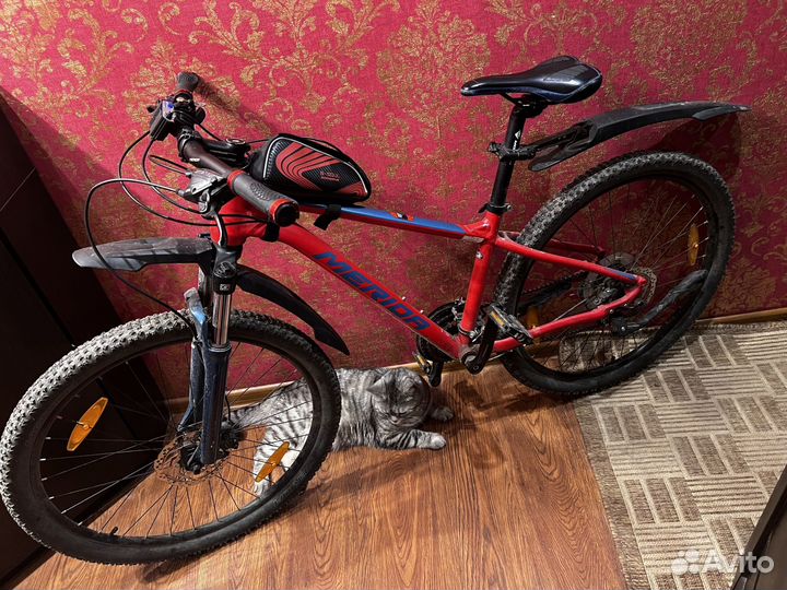 Merida big seven 20d 2021