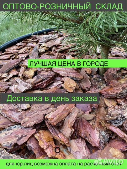 Кора лиственницы мульча