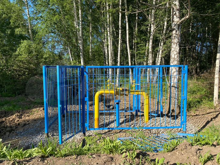 Участок 10 сот. (СНТ, ДНП)