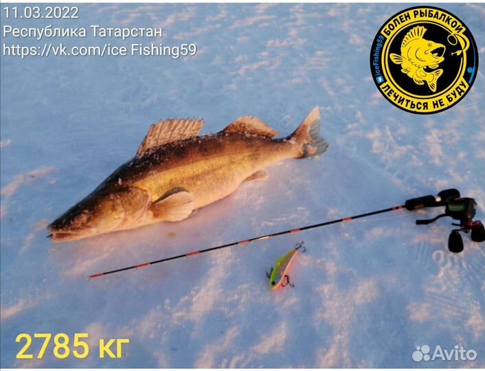 Удочка зимняя