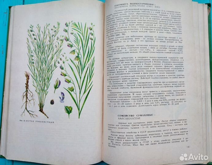 Ботаническая книга лекарственные растения СССР