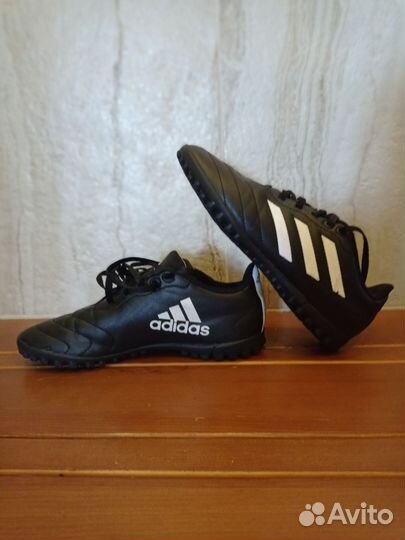 Сороконожка