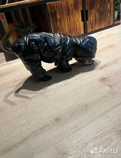 Комбинезон для собак