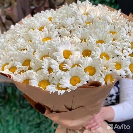 Цветы с бесплатной доставкой.Опт