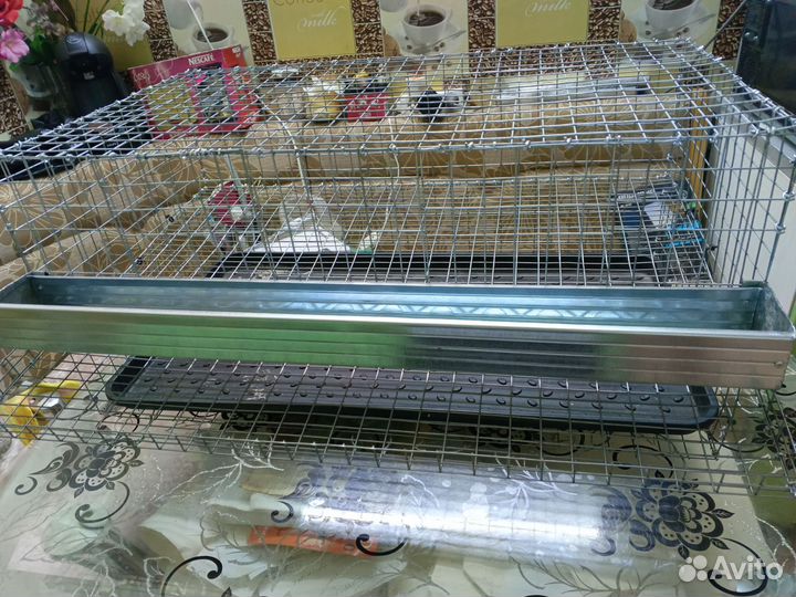 Клетки для перепелов